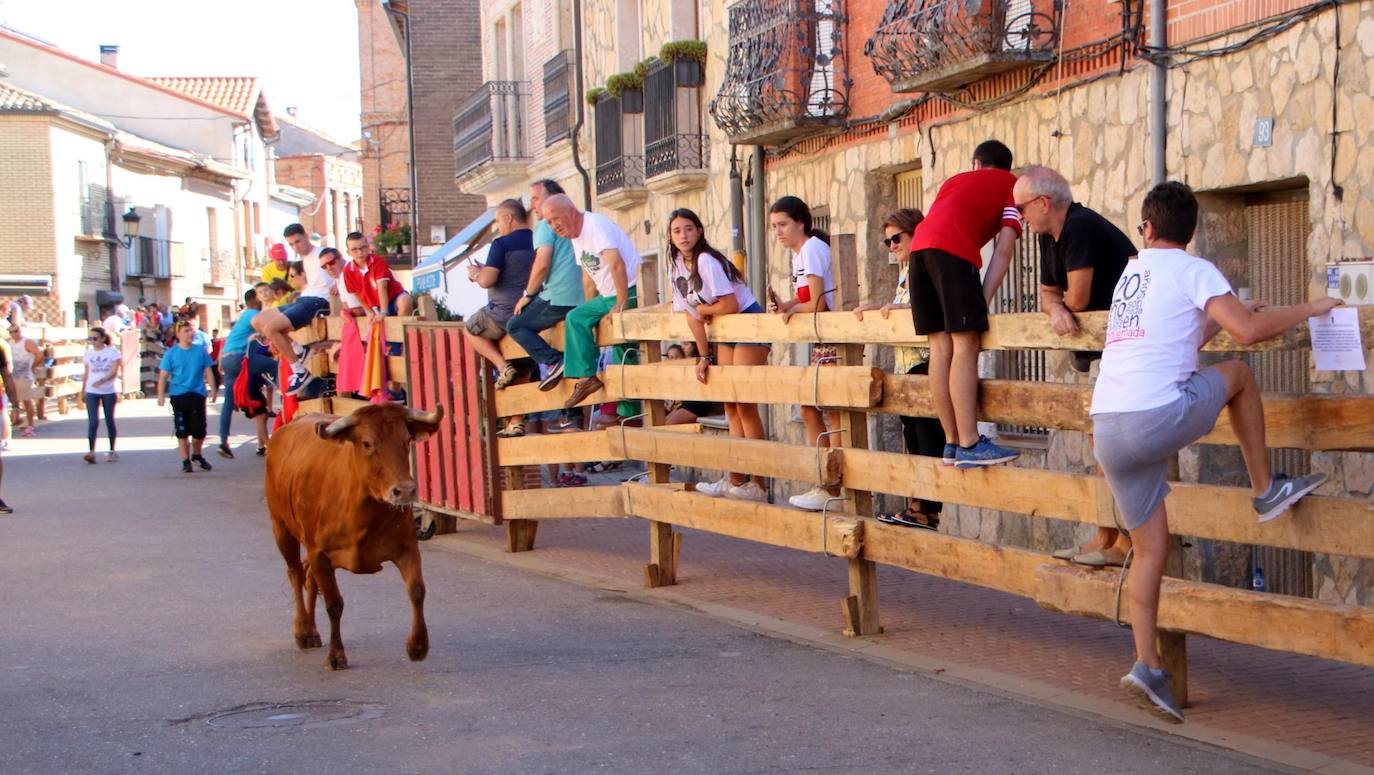 Fotos: Encierro en Torquemada