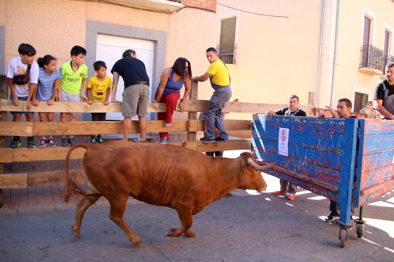 Fotos: Encierro en Torquemada