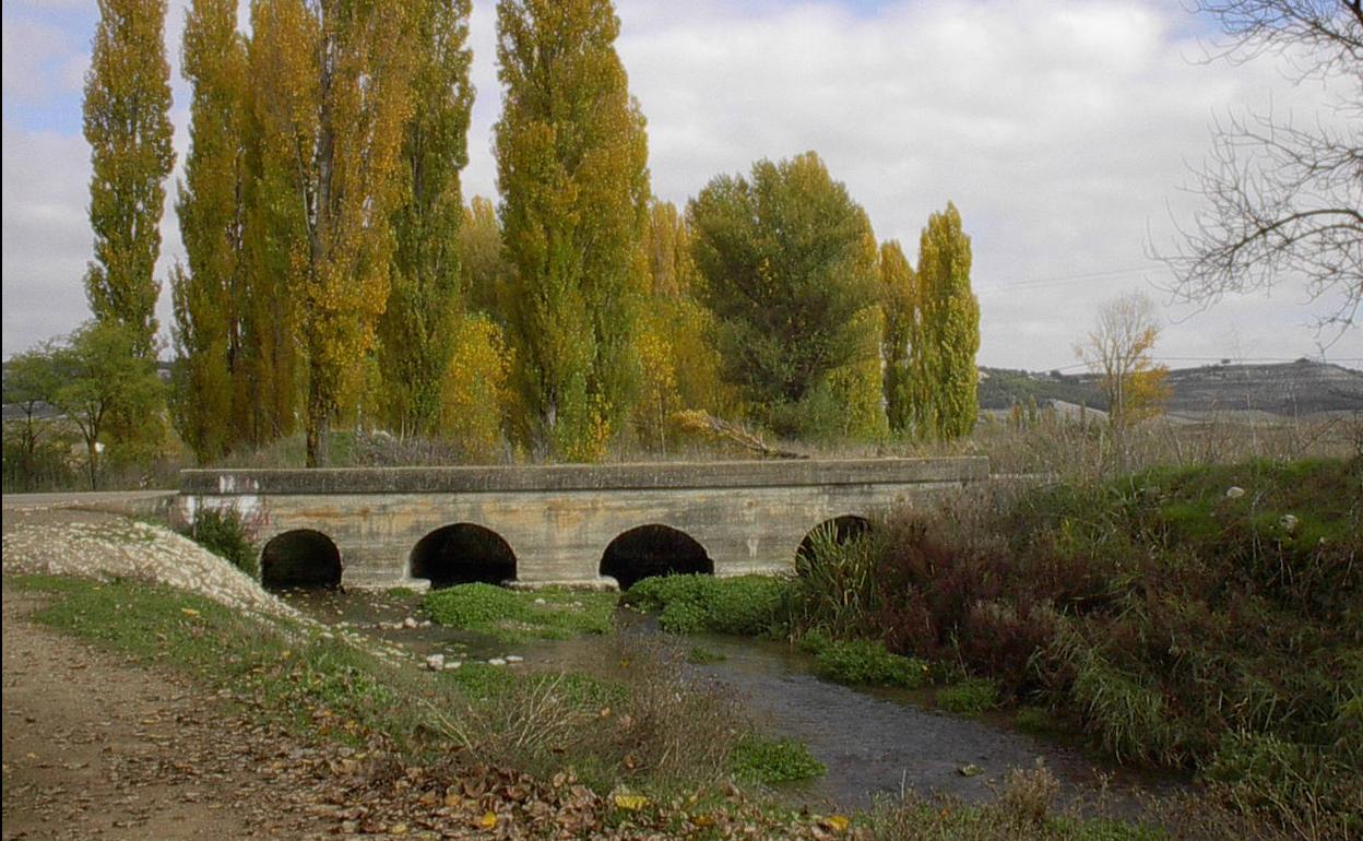 Río Hornija a su paso por Torrelobatón.