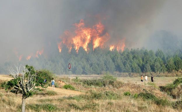 Imagen principal - Medios aéreos y terrestres trabajan en la extinción de un incendio en la localidad leonesa de Cubillas de Rueda