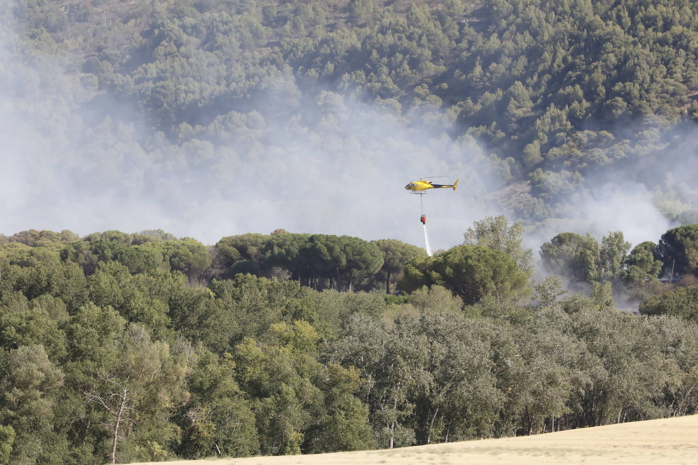 Fotos: Incendio en Bocos de Duero