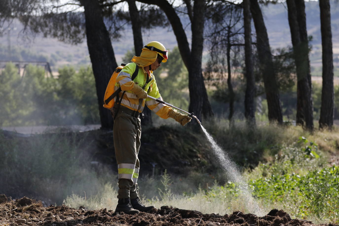 Fotos: Incendio en Bocos de Duero