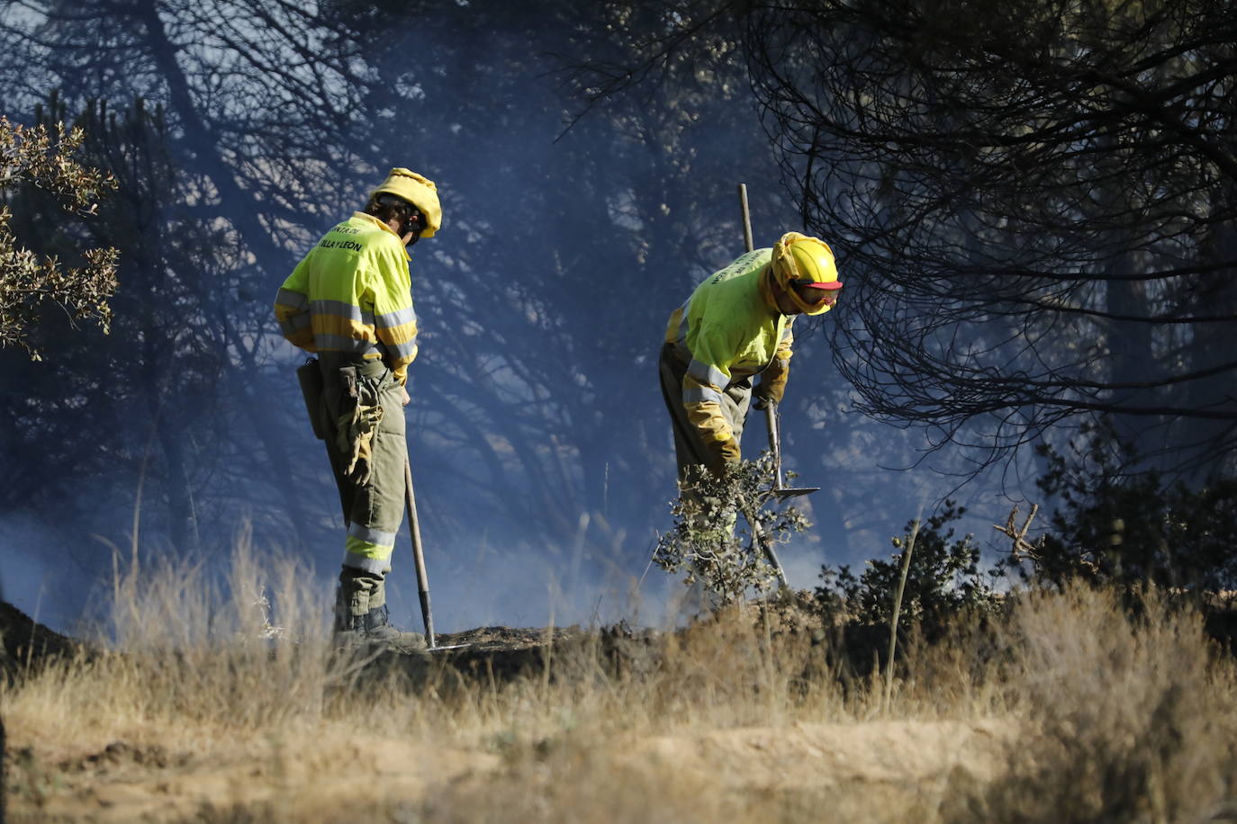 Fotos: Incendio en Bocos de Duero