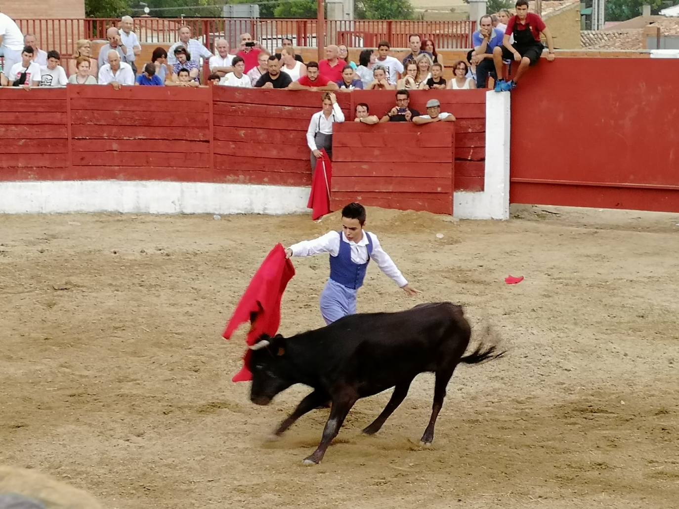 Los alumnos de la Escuela Taurina de Medina de Rioseco hicieron una demostración de su saber hacer en promoción de la tauromaquia