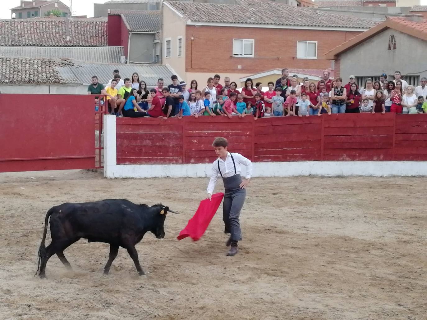 Los alumnos de la Escuela Taurina de Medina de Rioseco hicieron una demostración de su saber hacer en promoción de la tauromaquia