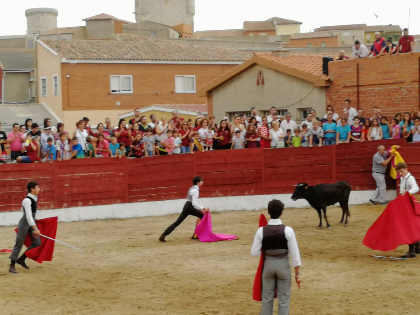 Los alumnos de la Escuela Taurina de Medina de Rioseco hicieron una demostración de su saber hacer en promoción de la tauromaquia