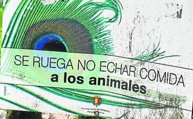 Cartel sobre la prohibición de alimentar a los animales. 