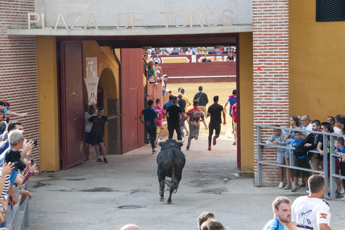 Fotos: Primer encierro de Cuéllar