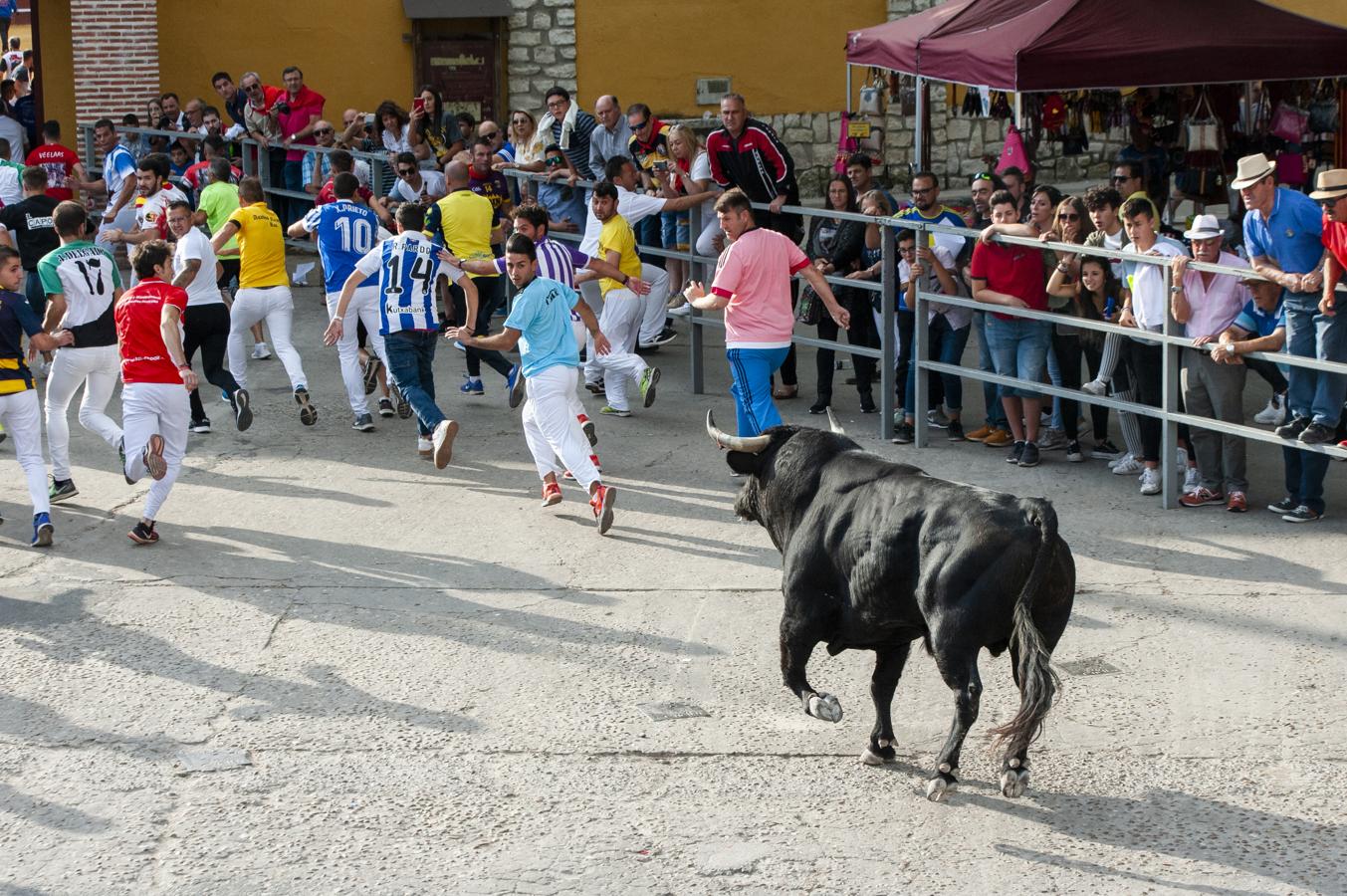 Fotos: Primer encierro de Cuéllar