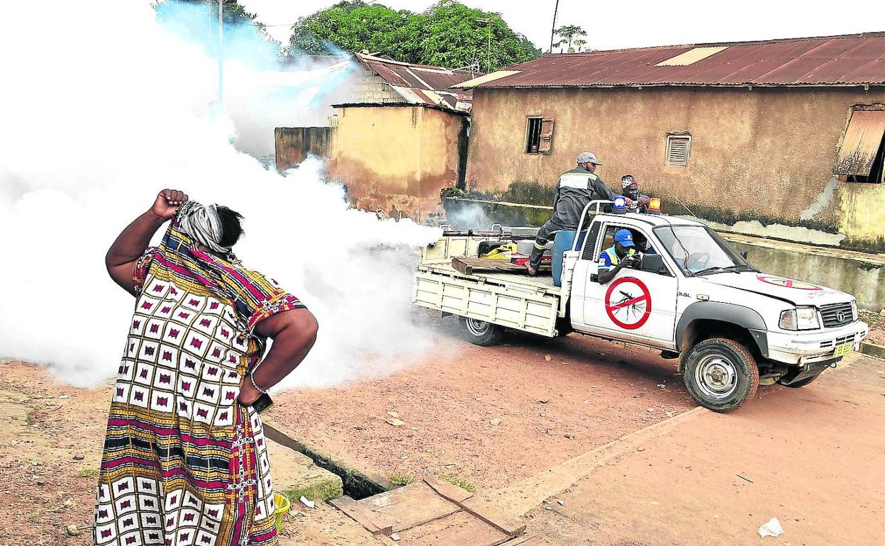 Fumigación. Una mujer se protege del insecticida que lanzan desde un coche en Costa de Marfil para atacar al mosquito que causa esta enfermedad..