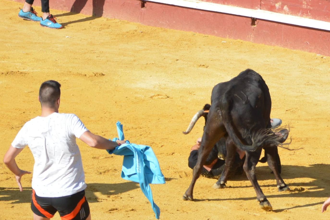 Fotos: Terce encierro en Cuéllar