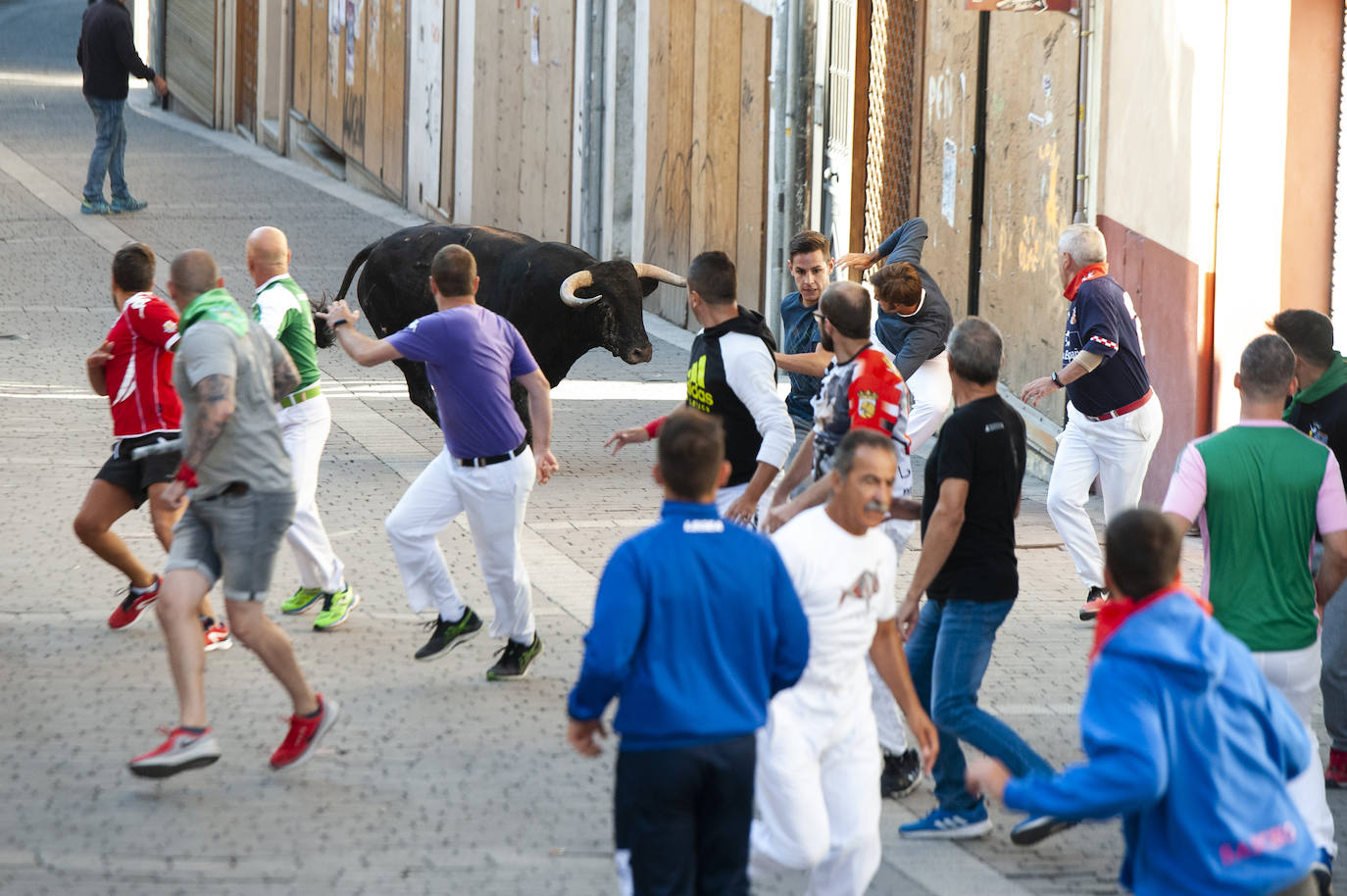 Fotos: Cuarto encierro de Cuéllar