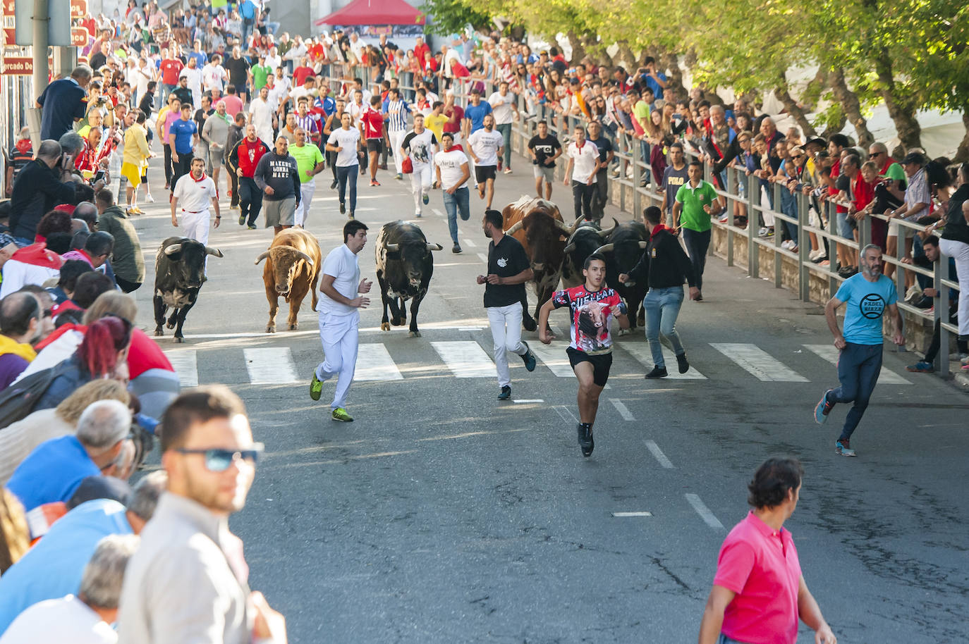 Fotos: Cuarto encierro de Cuéllar