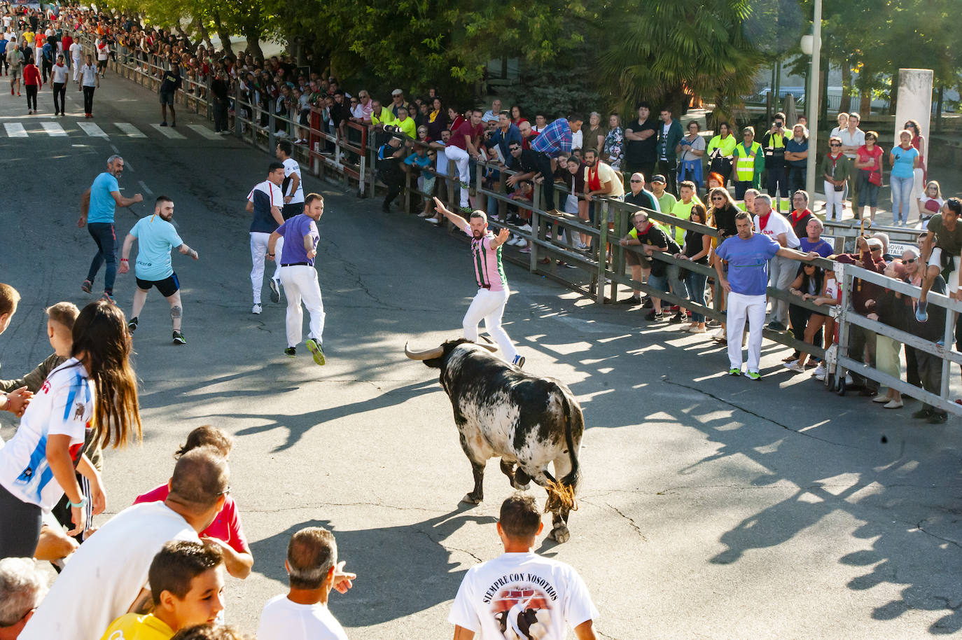 Fotos: Cuarto encierro de Cuéllar