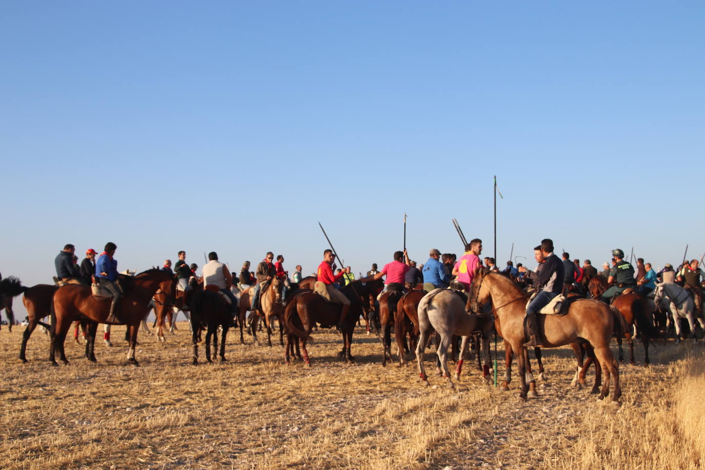 Fotos: Cuarto encierro de Cuéllar