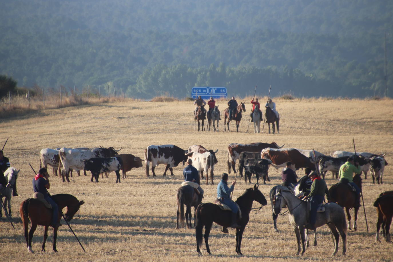 Fotos: Cuarto encierro de Cuéllar