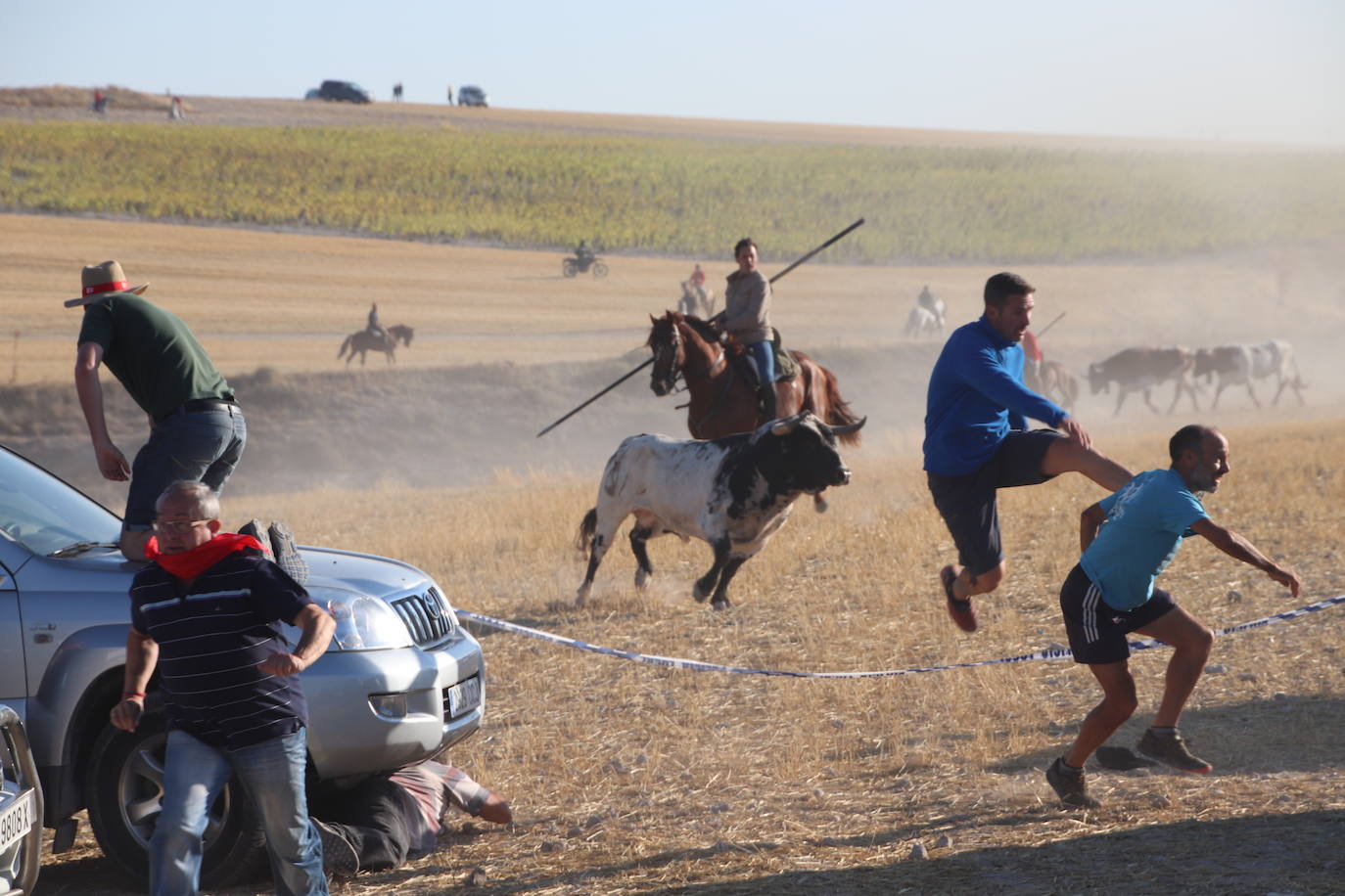Fotos: Cuarto encierro de Cuéllar