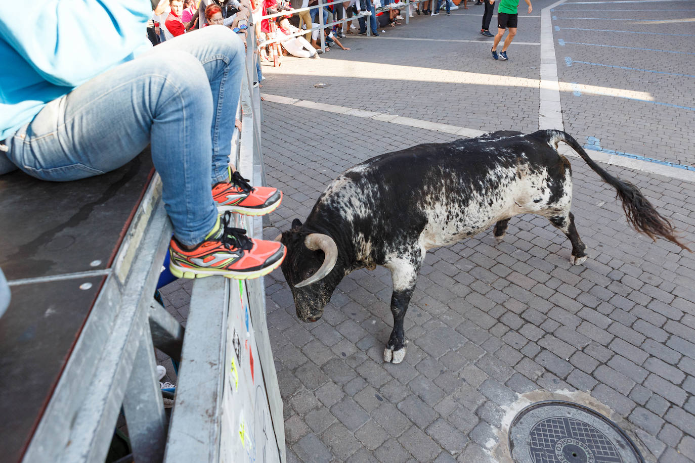 Cuarto encierro en Cuéllar.
