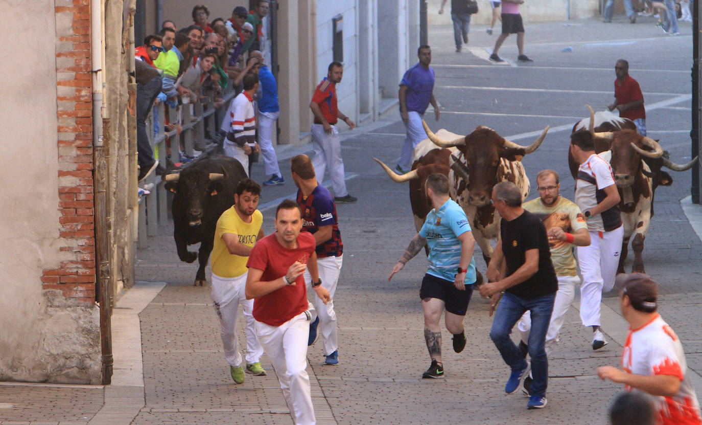 Fotos: Quinto encierro de las Fiestas de Cuéllar