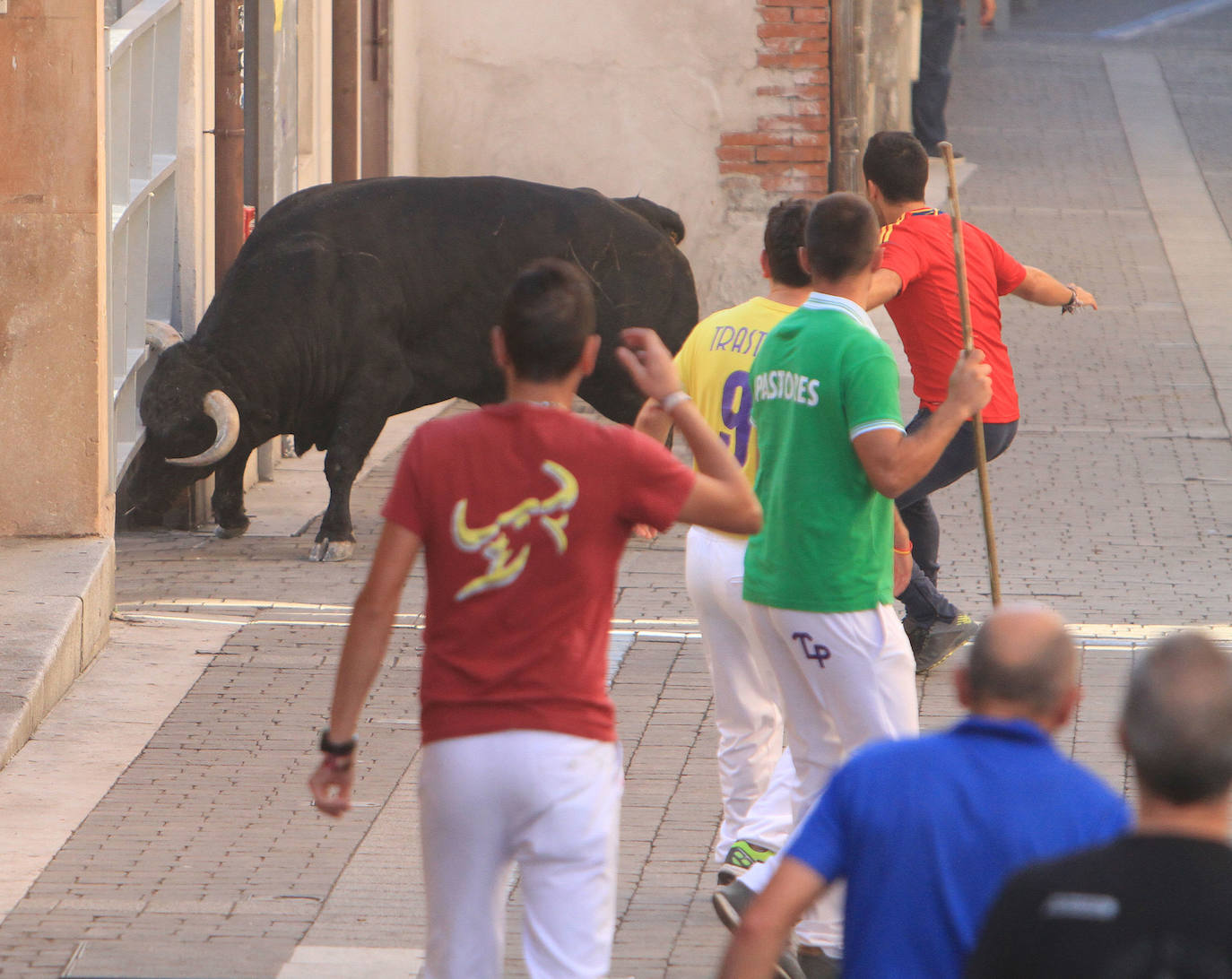 Fotos: Quinto encierro de las Fiestas de Cuéllar