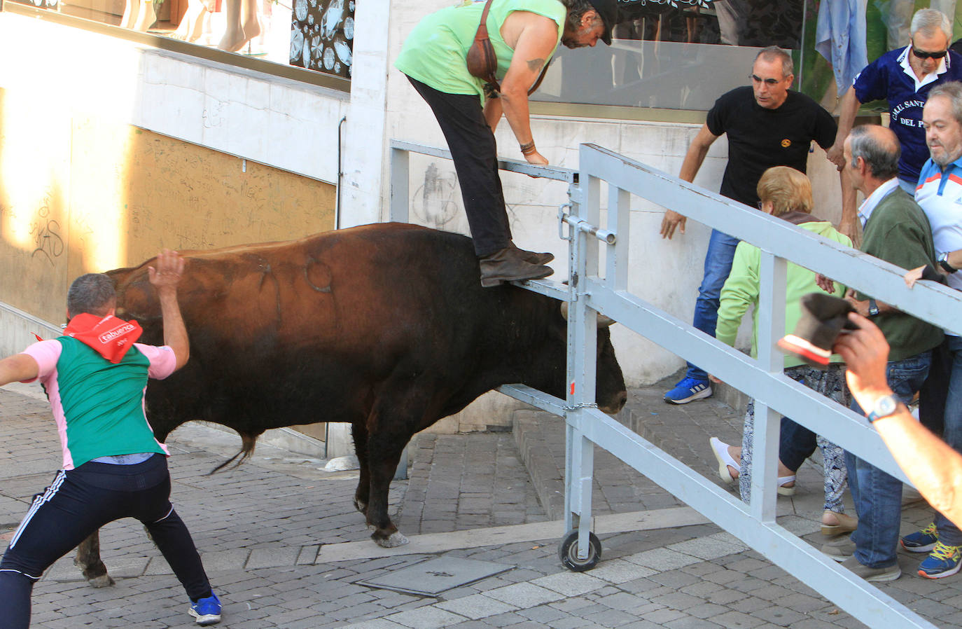 Fotos: Quinto encierro de las Fiestas de Cuéllar