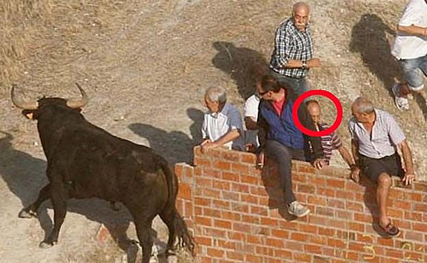 La víctima, instantes antes de ser corneada de muerte. 