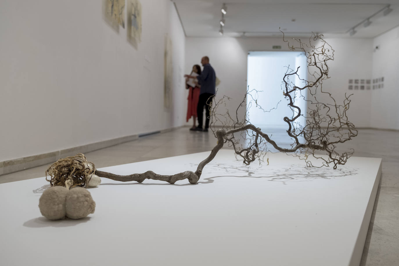 Fotos: Carlos de Paz expone sus últimas obras en la Sala 0 del Museo Patio Herreriano