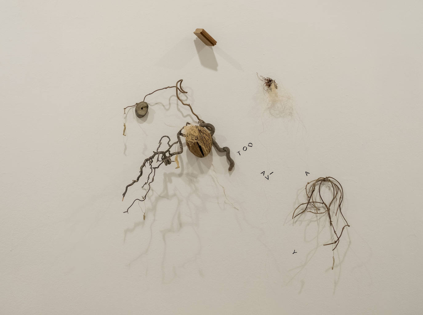 Fotos: Carlos de Paz expone sus últimas obras en la Sala 0 del Museo Patio Herreriano