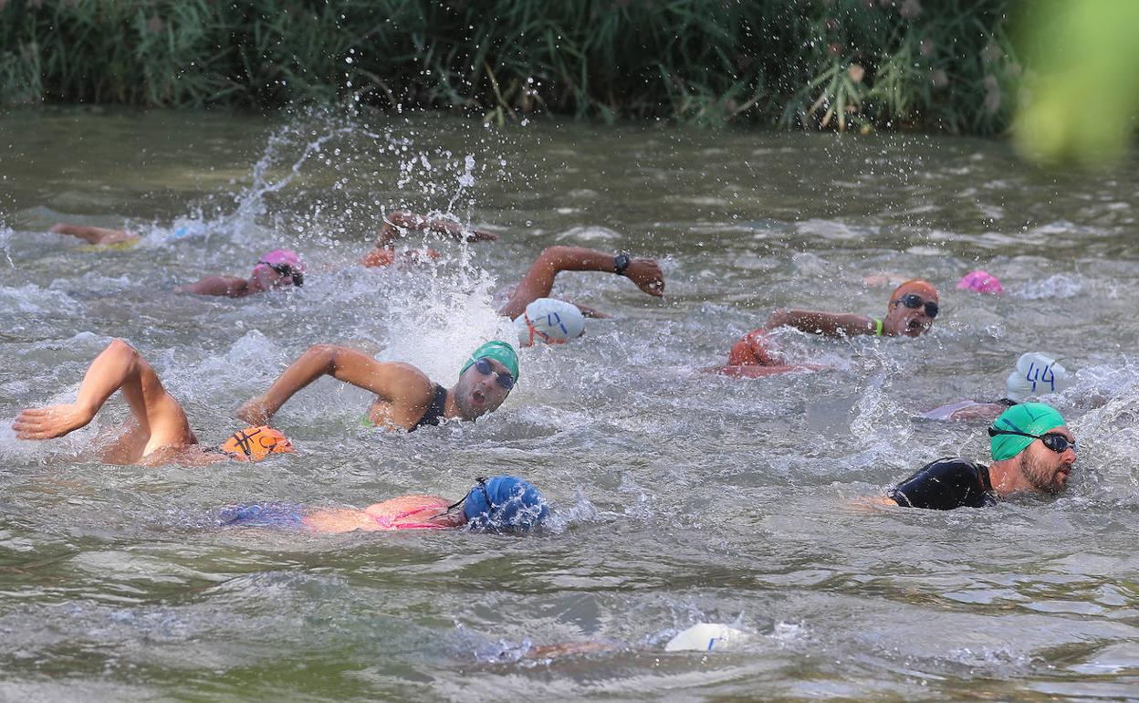 Varios nadadores toman la salida durante la prueba de esta tarde en Palencia. 