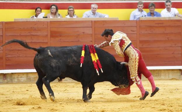 Diego Urdiales se la juega con la pierna derecha por matar el primero de la tarde, el deslucido 'Bienvestido'.