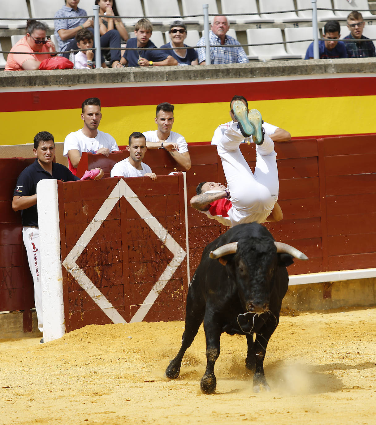 Fotos: Campeonato de recorte libre de Palencia 2019