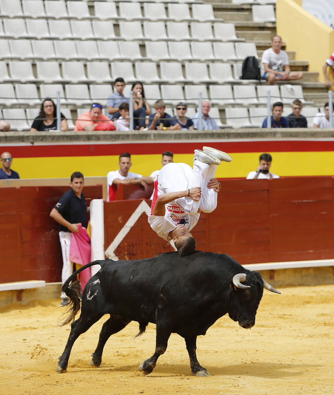 Fotos: Campeonato de recorte libre de Palencia 2019