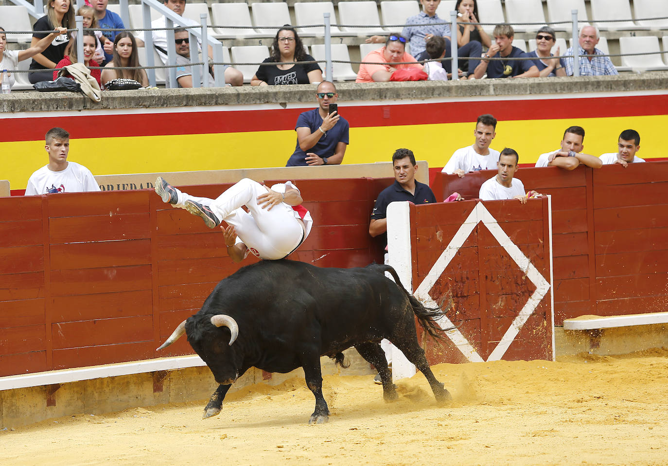 Fotos: Campeonato de recorte libre de Palencia 2019