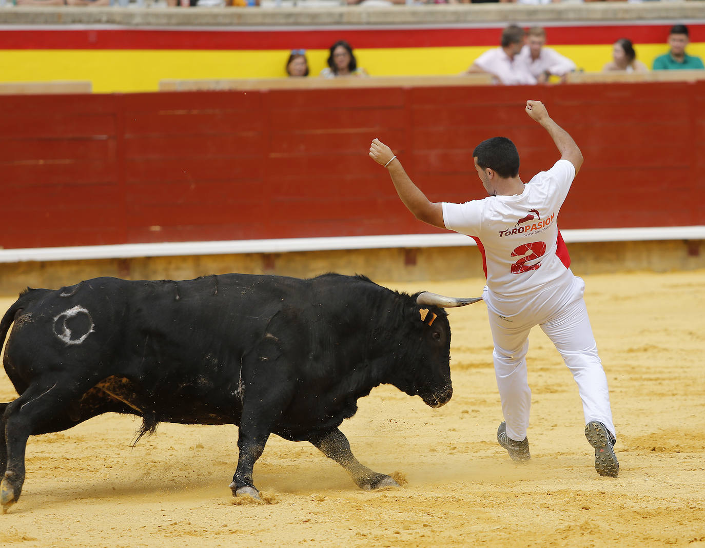 Fotos: Campeonato de recorte libre de Palencia 2019