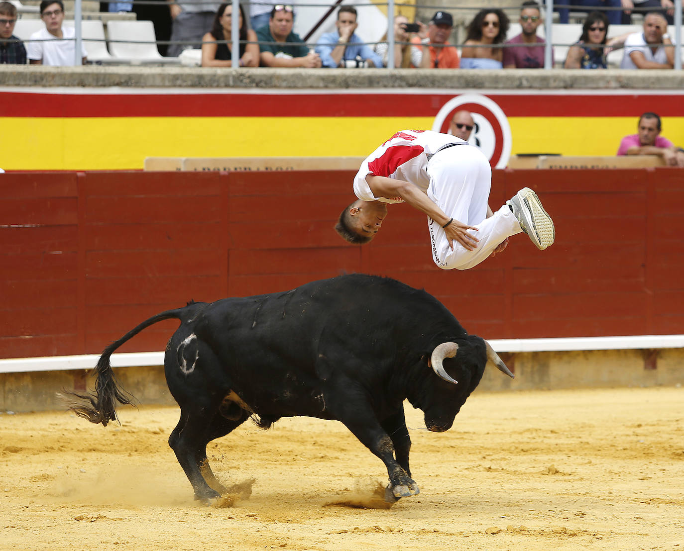Fotos: Campeonato de recorte libre de Palencia 2019
