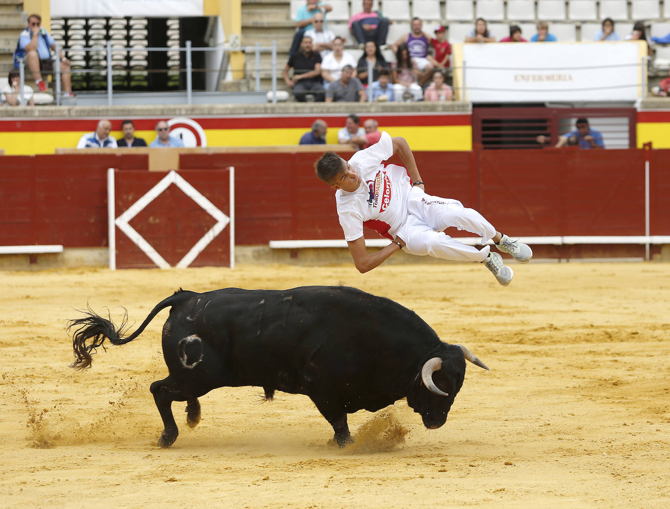 Fotos: Campeonato de recorte libre de Palencia 2019