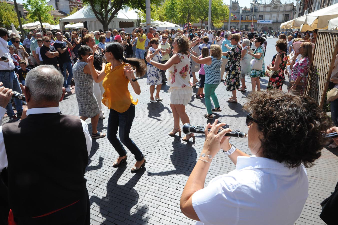 Fotos: Misa y procesión de San Antolín en Medina del Campo