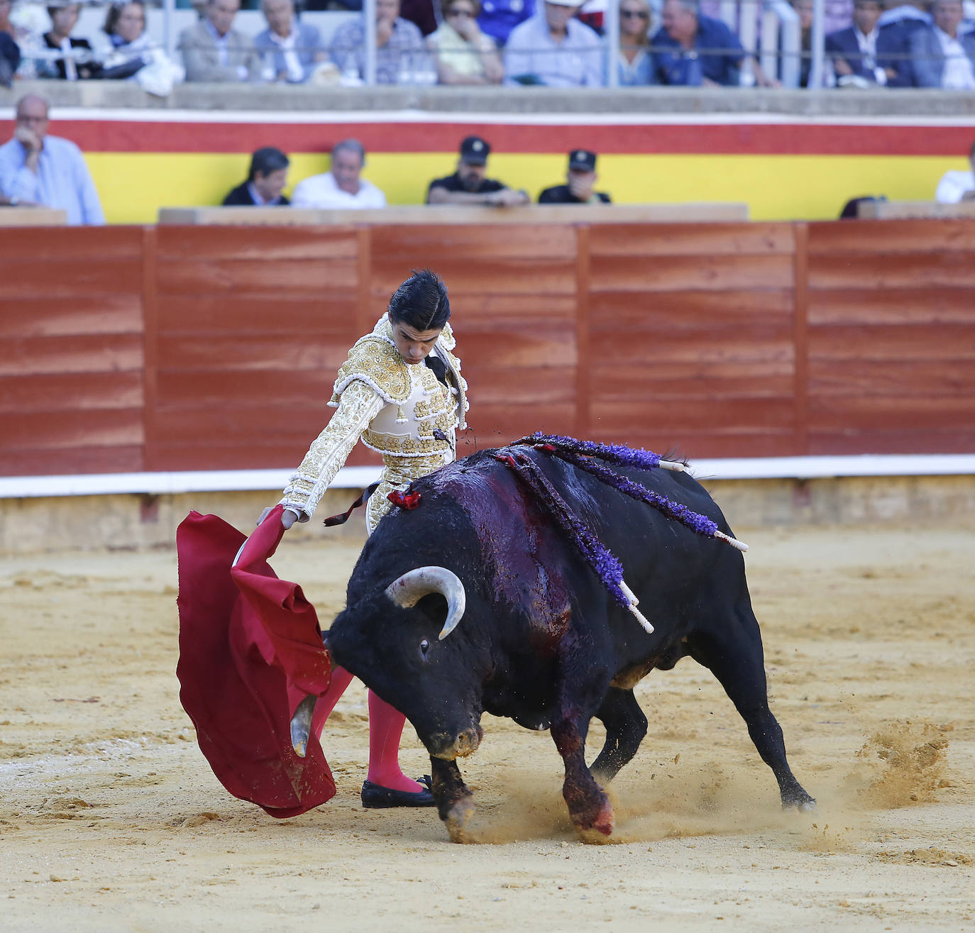 Fotos: Ferrera y Aguado triunfan en la última corrida de la feria de Palencia