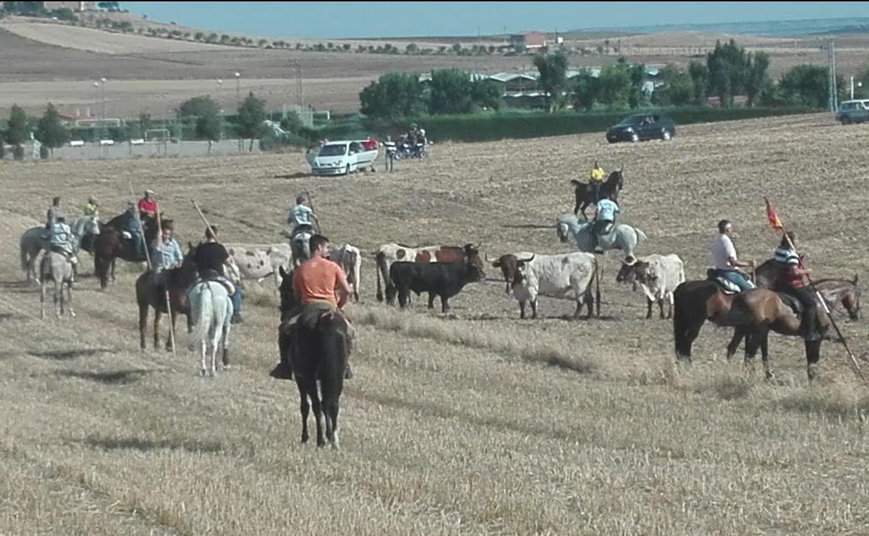 Programa de fiestas de Nava del Rey