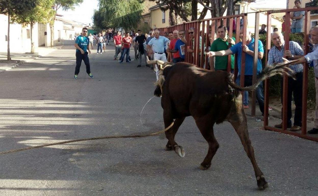 Programa de fiestas de Villafrechós