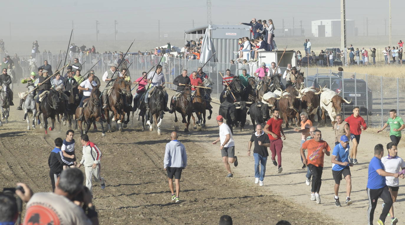 Fotos: Segundo encierro en Medina del Campo