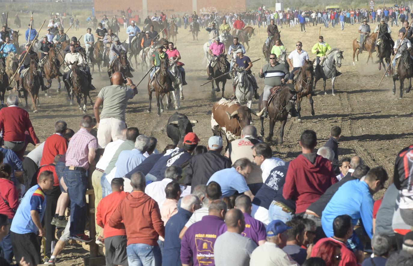Fotos: Segundo encierro en Medina del Campo