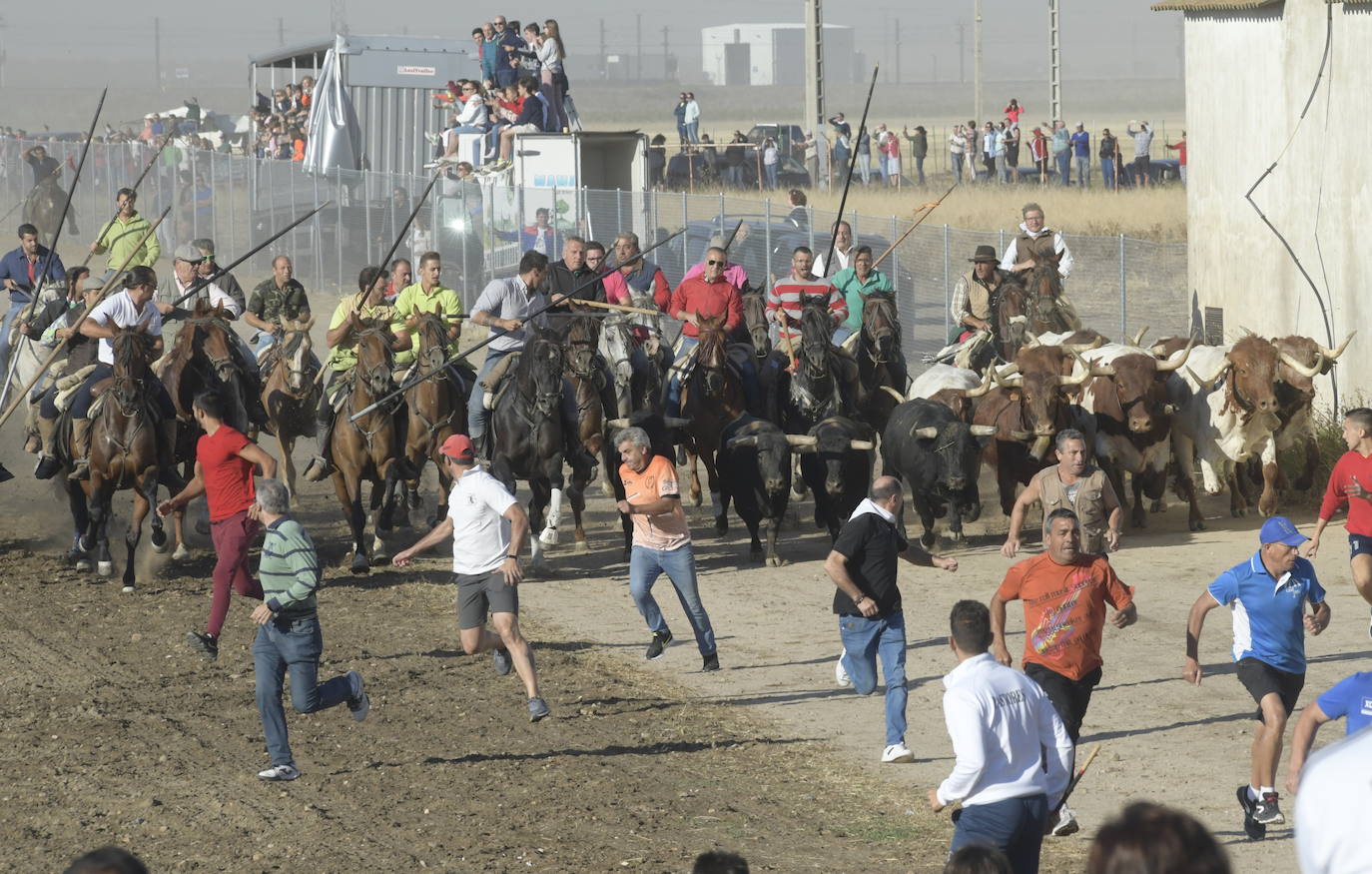 Fotos: Segundo encierro en Medina del Campo