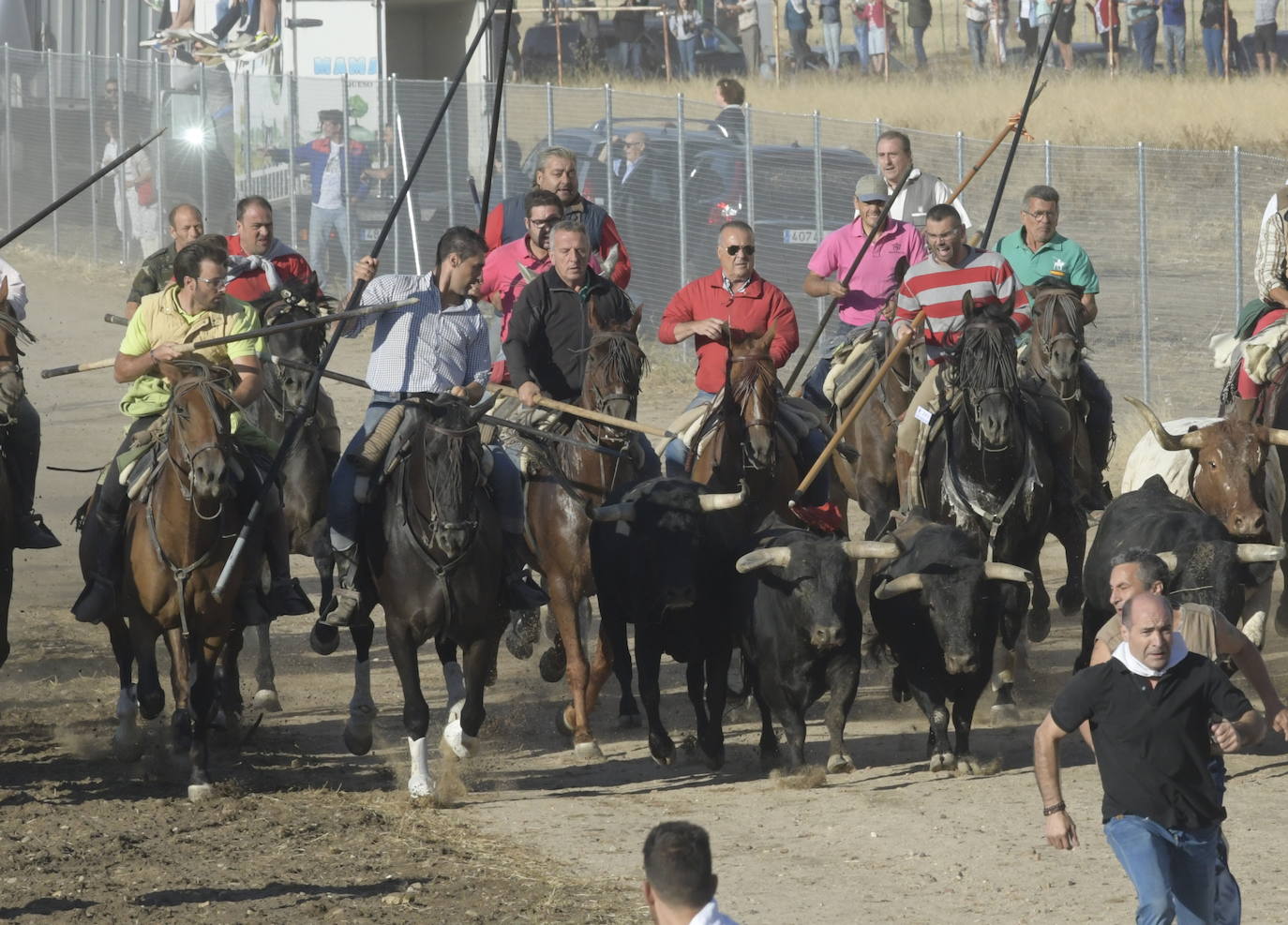 Fotos: Segundo encierro en Medina del Campo