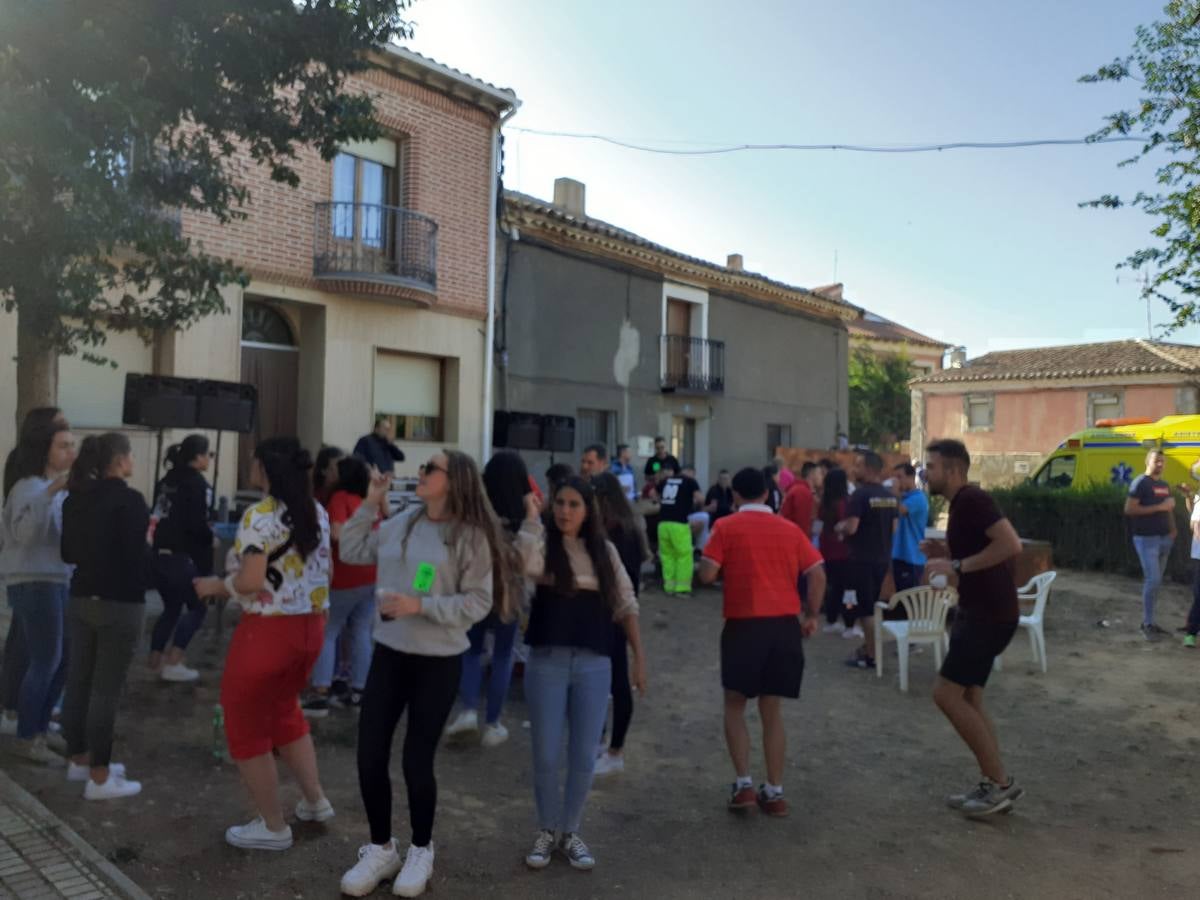 Fotos: Vaca enmaromada de Villafrechós