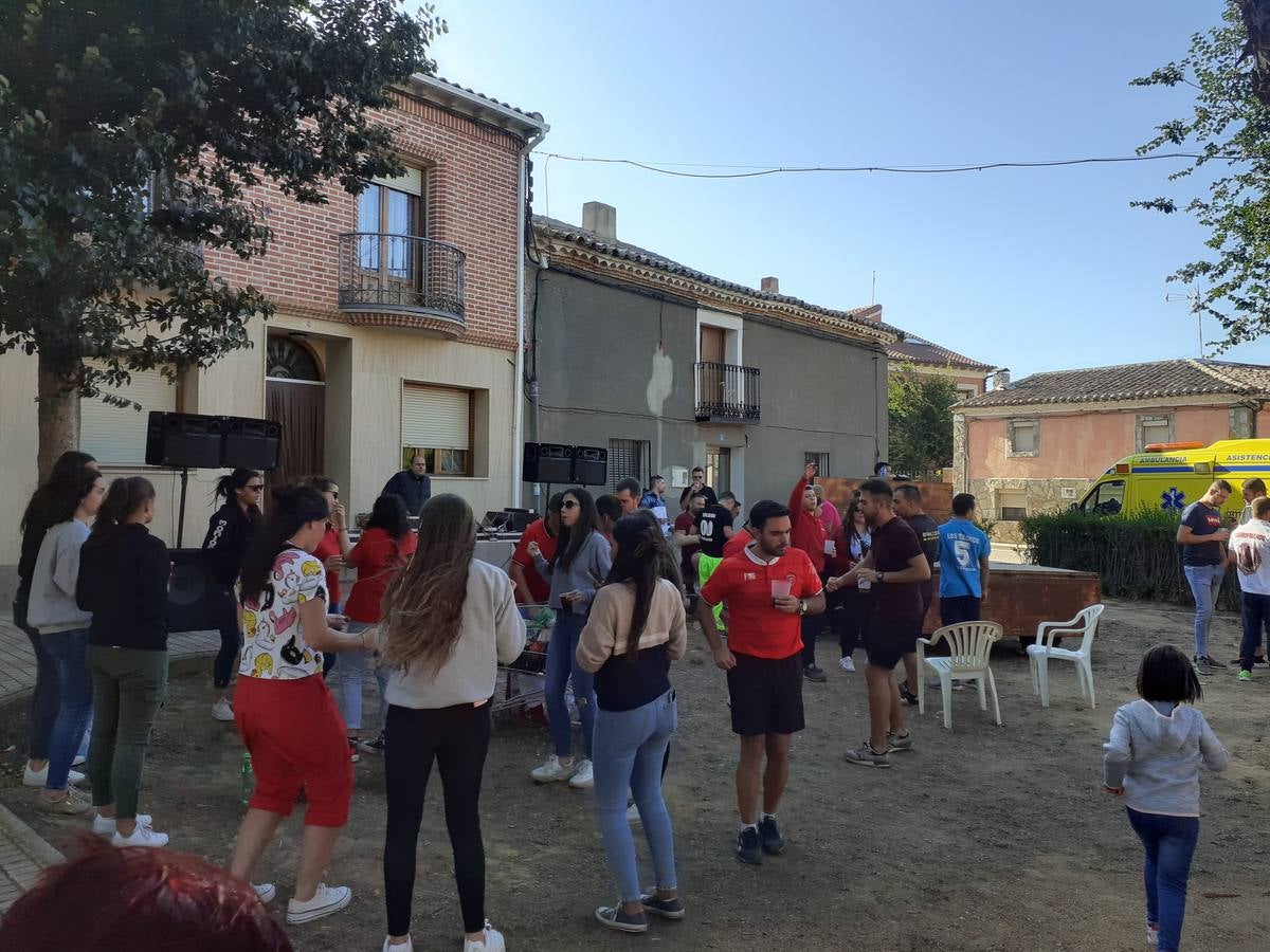 Fotos: Vaca enmaromada de Villafrechós