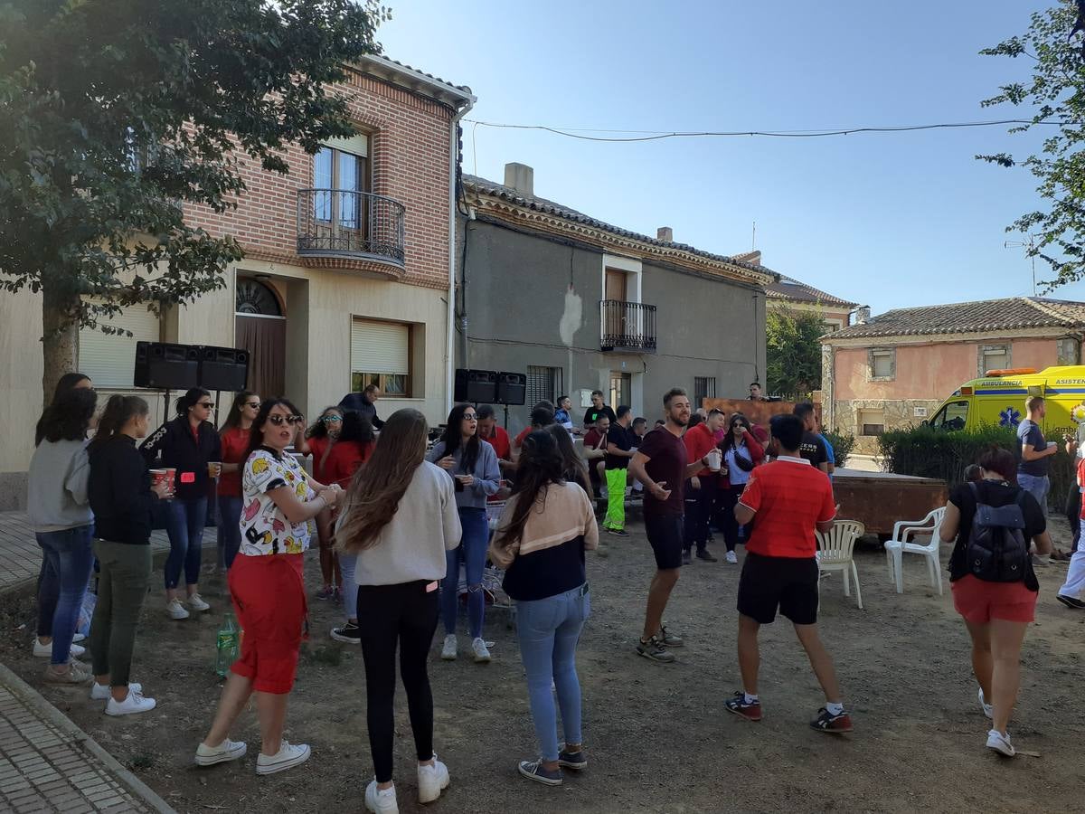 Fotos: Vaca enmaromada de Villafrechós
