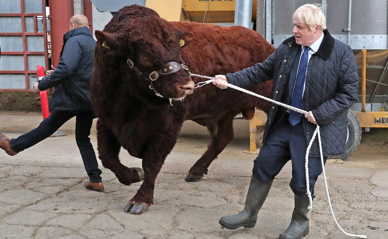 Boris Johnson visita una granja. 