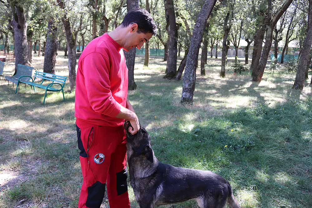 Burgos acoge al GREM, Grupo de Rescate Espeleológico y de Motañana con su Unidad Canina de Salvamento, compuesta por dieciséis voluntarios