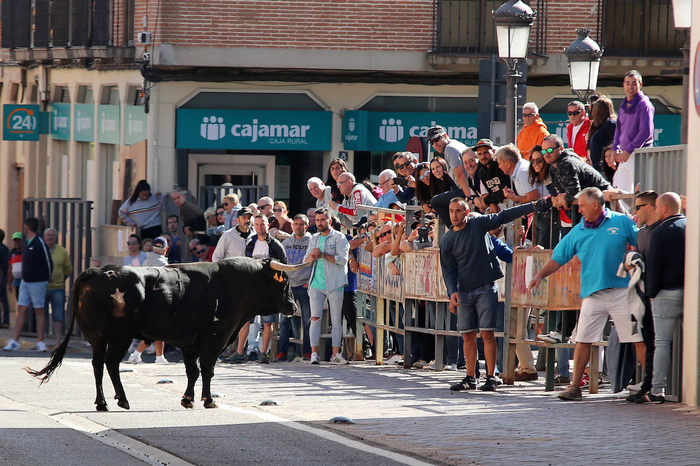 Fotos: Primer encierro en las fiestas de Nava del Rey
